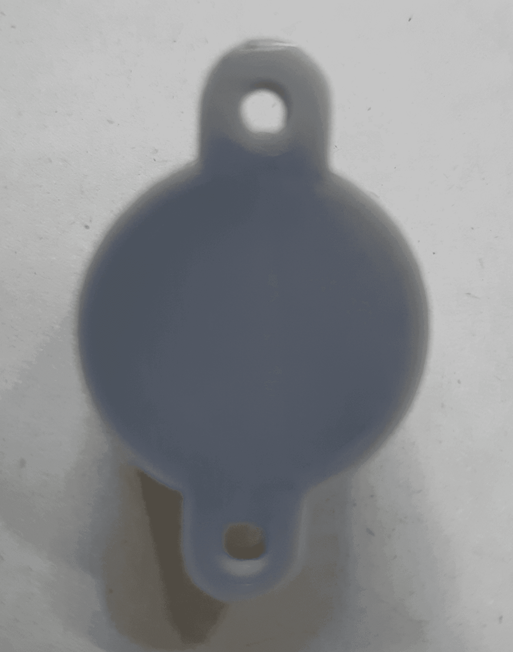 RL01